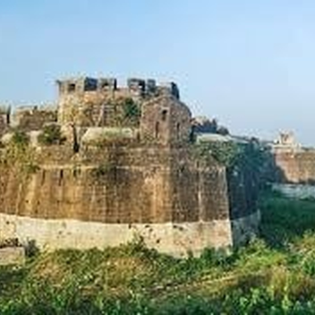 Tempo Traveler | Comfortable Group Travel Solutions