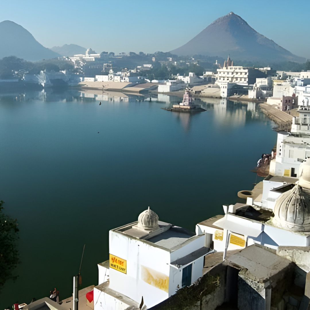 Mini Bus Service | Comfortable & Affordable Group Travel Solutions