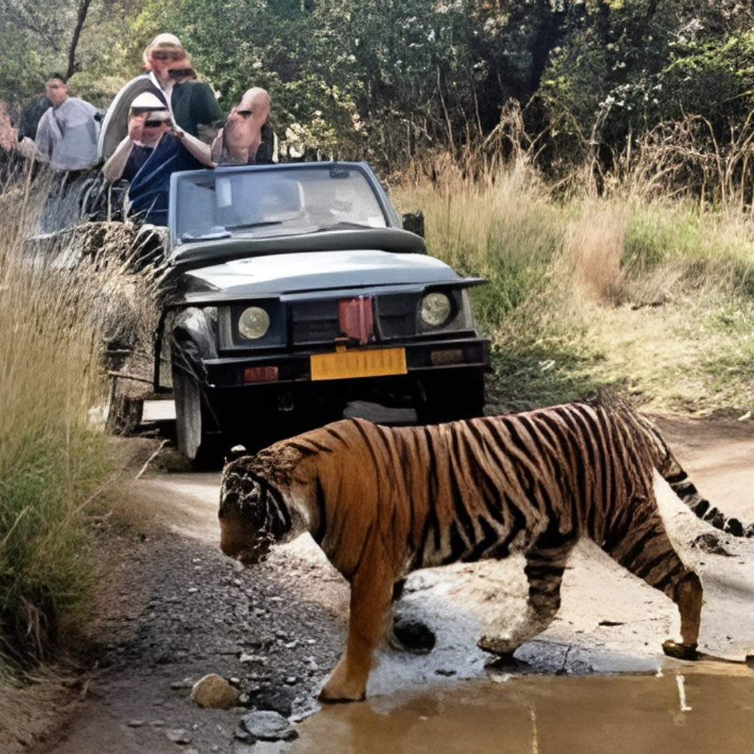 Tempo Traveler | Comfortable Group Travel Solutions